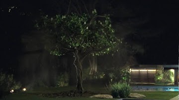 Tree Burst - Lightwave animation created for the movie A Thousand Words