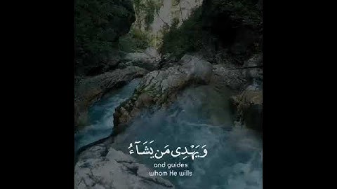 تلاوة هادئة تريح الأعصاب 😴🎧 | القاريء أنس الشافعي - سورة يونس 🤍🌥️."