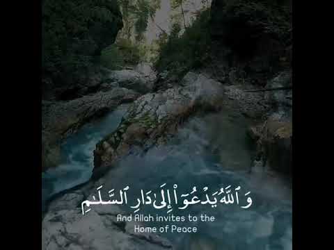 تلاوة هادئة تريح الأعصاب القاريء أنس الشافعي سورة يونس