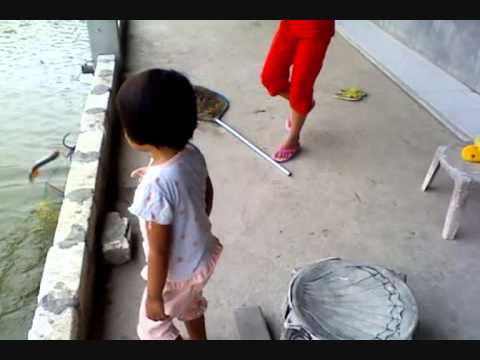 anak kecil mancing dapat ikan besar 1 YouTube anak kecil mancing dapat ikan besar 1 YouTube
