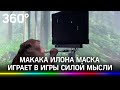 Макака Илона Маска играет в игры силой мысли. Как эксперимент поможет людям с параличом?