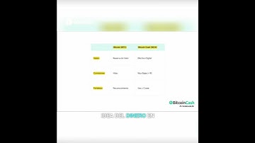 Bitcoin vs. Bitcoin Cash  ¿Cuál es el futuro del dinero?