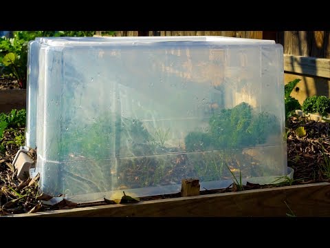 וִידֵאוֹ: רעיונות לאריזת פלסטיק לגינה: טיפים לגינון עם עטיפת פלסטיק