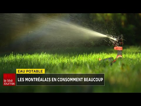 Vidéo: Boire en public à Montréal : règles et règlements