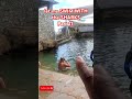 Shark Interactions- Part 11 of let me SWIM with the SHARKS (S2) #somethingworthseeing