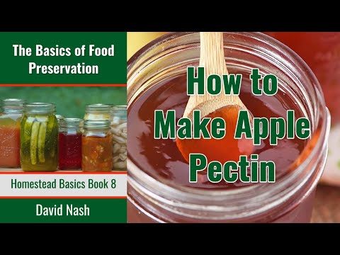 How to Make Homemade Apple Pectin | How to Extract Pectin from Apples | Make Your Own Pectin