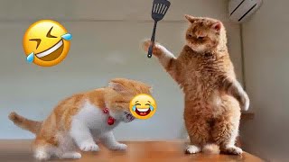 🤣🤣 Funniest Cats and Dogs Videos 🤣😍 Funniest Animals #16