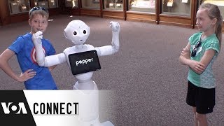 Pepper the Robot