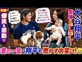 🔥⚾👶【世界が爆笑＆感動】大谷翔平が愛娘を抱っこして登場‼️ 妻の“まさかの一言”に翔平も思わず大笑い😂💖 「うちの娘の方があなたより強いかも…!?」世界中がほっこりした家族の瞬間✨