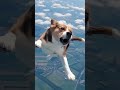 ourneying into an alien universe #funny #funny #memes
