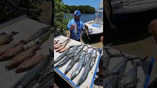 Book a Fishing Trip SaltyScalesCharter.com #tampabayfishingcharter #fishingcharter #fishing
Book a Fishing Trip SaltyScalesCharter.com #tampabayfishingcharter #fishingcharter #fishing Book a Fishing Trip SaltyScalesCharter.com #tampabayfishingcharter #fishingcharter #fishing
