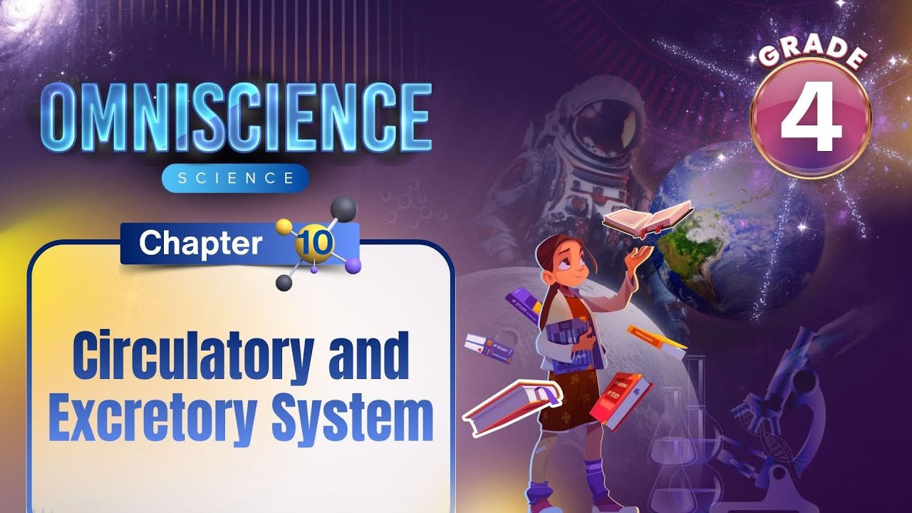 Кровеносная и выделительная системы | Наука, 4 класс | Глава 10 | IP Study