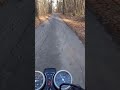 Осень лес 2019
