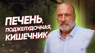 С.Н. Лазарев | Печень, поджелудочная, кишечник(Как функционируют железы и внутренние органы у человека? Каким образом слюнные железы, печень, поджелудочн..., 2014-01-21T15:35:52.000Z)