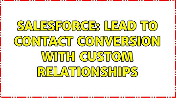 Salesforce: Lead to Contact conversion with custom relationships