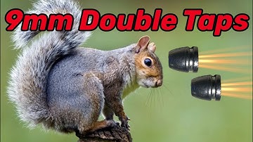 Double Tapping Squirrels with a 9mm... too much?