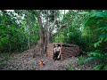 Solo Bushcraft Camp - Build Super Shelter in Raiforest - Overnight in my Shelter