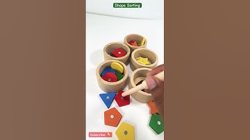 Shape Sorting | Shapes | Educational Videos for Kids