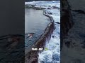 Reality vs Expectation : Canary Islands