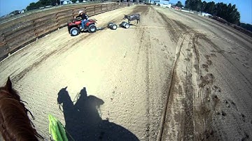 Team Roping Position 2: Handling steers that run LEFT