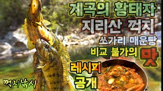 지리산 꺽지 캠낚/꺽지 매운탕 이렇게 하면 쏘가리 매운탕 절대 못 먹는다#꺽지#황금레시피
