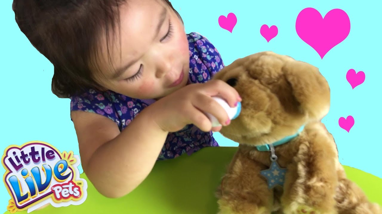 Little Live Pets Snuggles | Unboxing My Dream Puppy