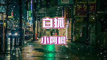 小阿枫 - 白狐（歌词版）『我爱你时你正一贫如洗寒窗苦读 离开你时 …』【Lyrics動態歌詞】