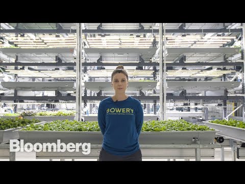 The High-Tech Vertical Farmer