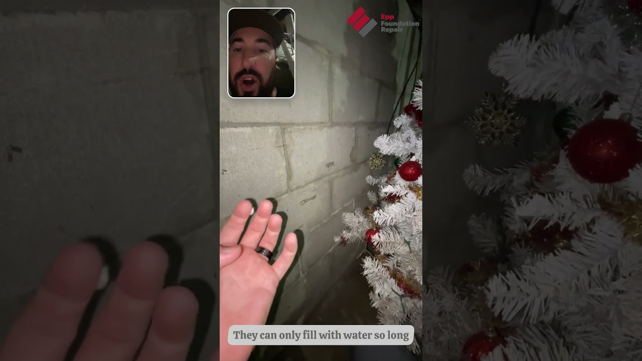What Textbook Efflorescence Looks Like — And How We’re Going to Fix It. Video preview.