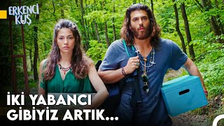 Sanem'in Aşkı Bulma Yolculuğu #134 - Erkenci Kuş