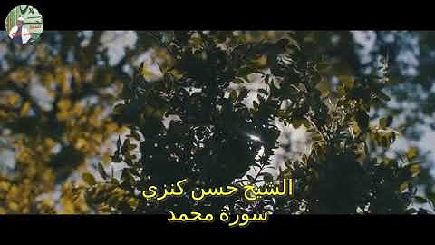 الشيخ حسن كنزي  . سورة محمد