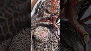 Hot Toys Mms-130 Berserker Predator