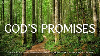 God's Promises : Instrumental Worship & Prayer Music with Nature 🌿CHRISTIAN piano