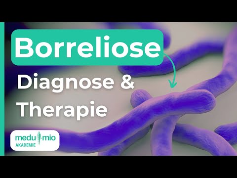 Video: Kann Borreliose sexuell übertragen werden?