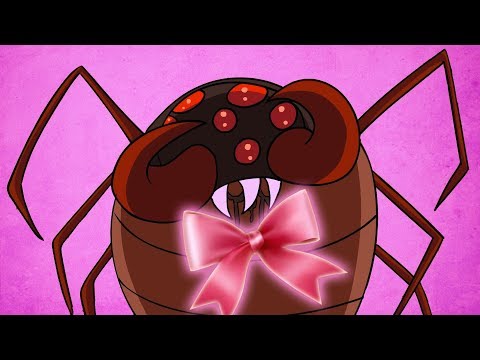 what-is-a-female-daddy-long-legs-called?-|-dolan-life-mysteries