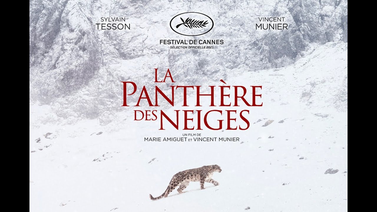 La Panthère des neiges