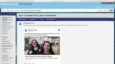 Embed HTML Code into Blackboard