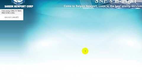 Khai báo tờ khai và đối chiếu thông quan container hàng nhập tại Cát Lái