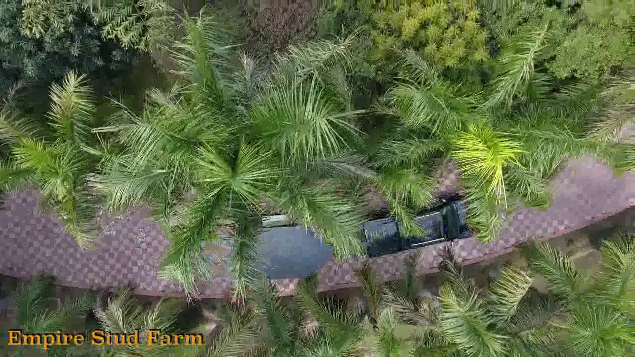 Empire Stud Farm