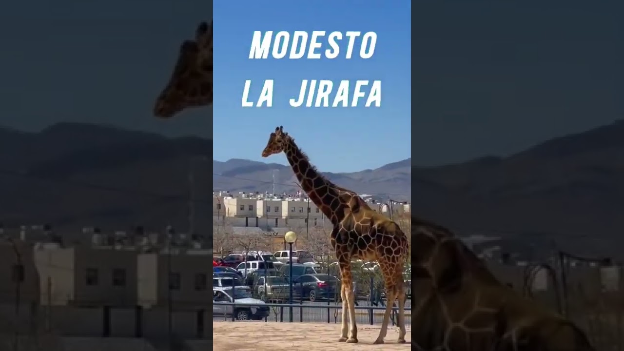 3 Lugares para visitar en Cd. Juárez 🤩 Parque central La casa de Juan Gabriel La  Catedral 