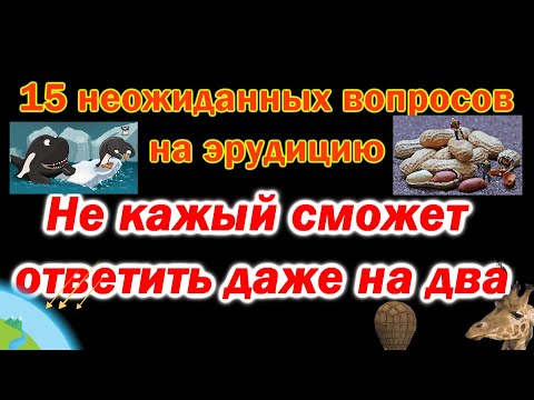 Тест для прокачки мозга. Проверим насколько ты эрудирован