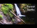 Vanlife . Forest Baths . Magical Meetups  (Story 10)