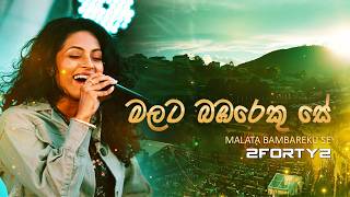Download lagu 2FORTY2 - මලට බඹරෙකු සේ (Remake) Ft. Devashrie | Malata Bambareku Se