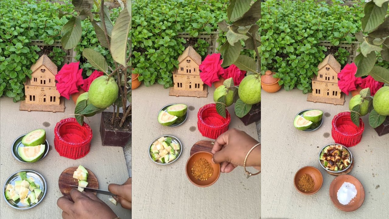 Mini Guva Miniature Guava mash recipe || Mini cooking Bengali recipe 2026|| - YouTube
