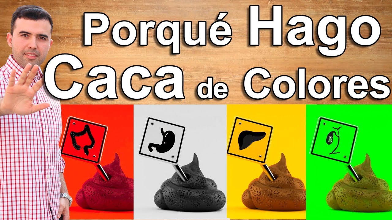 ¿QUE DICE EL COLOR DE LAS HECES SOBRE TU SALUD? - Porque Hago Caca de Colores