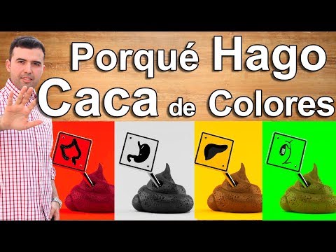 Video: Cómo controlar su salud según el color de las heces o las heces: 15 pasos