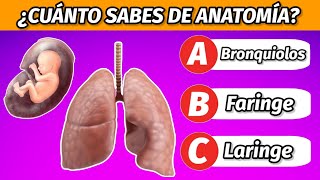 30 Preguntas de Anatomía y Cuerpo Humano: ¿Eres un Futuro Médico o Necesitas Estudiar Más? 🩺🩸