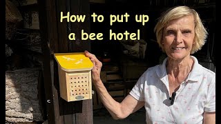 How to put up a bee hotel News