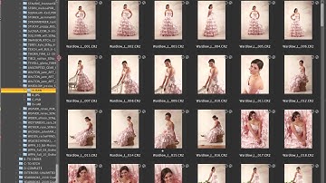 3   Adobe Bridge Workflow