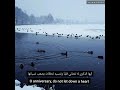 موسيقى الطبيب المعجزة/كلماتي